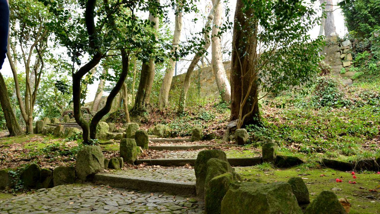 Discovery Walk in Porto’s Jardins do Palacio de Cristal: fairytale views and better conversations
