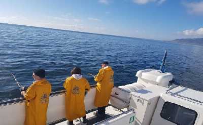 Reykjavik Sea Angling & Fishing Tour from Old Harbour