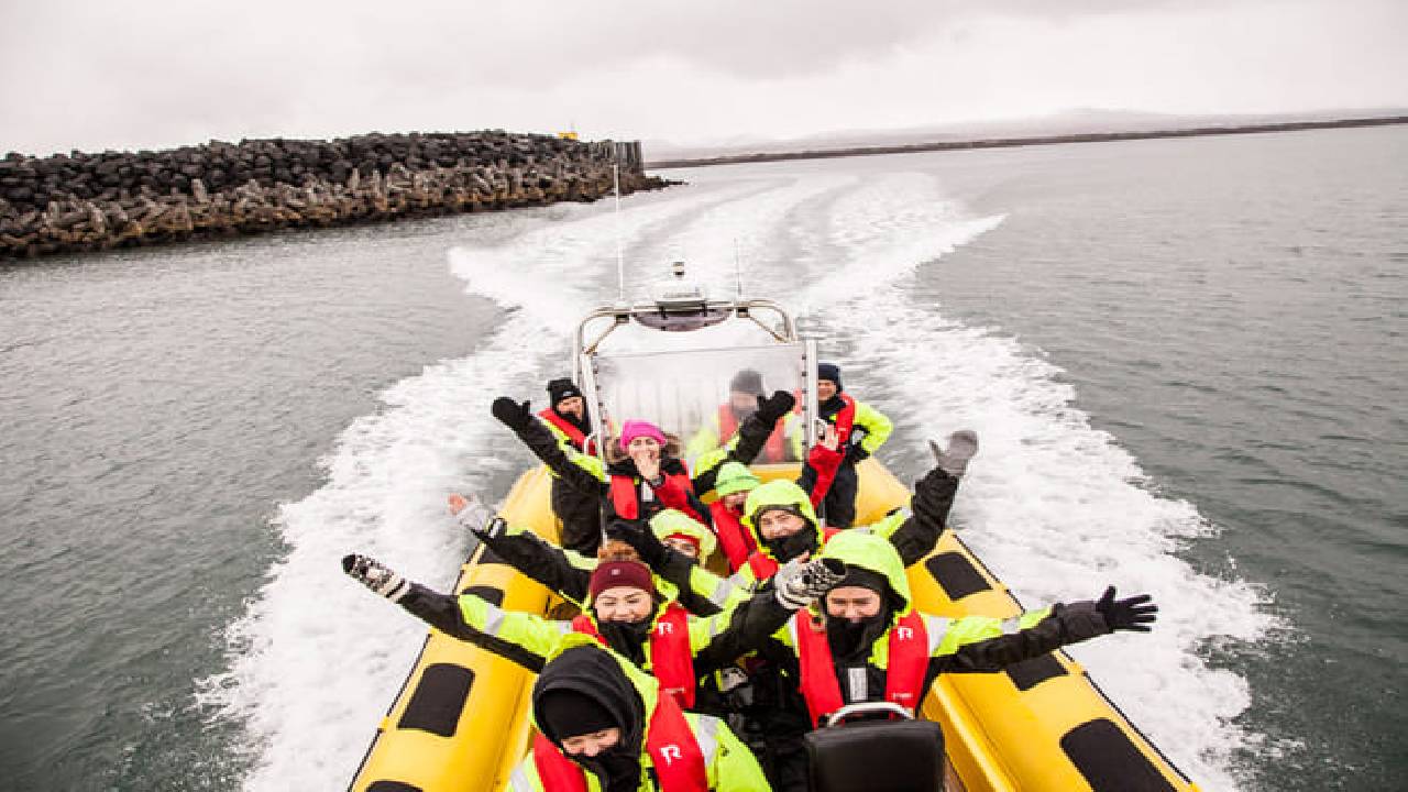 Whale  Watching from Downtown Reykjavik by RIB Speedboat 