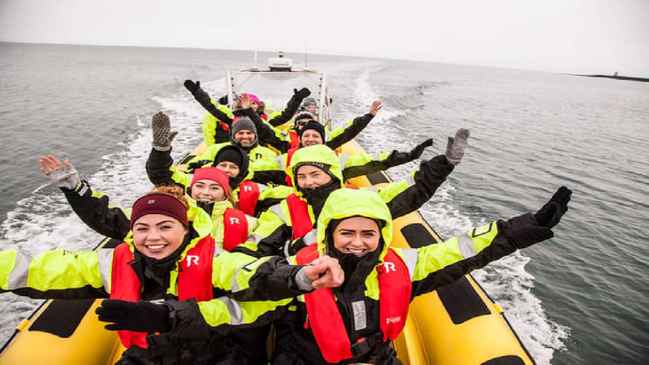 Whale  Watching from Downtown Reykjavik by RIB Speedboat 