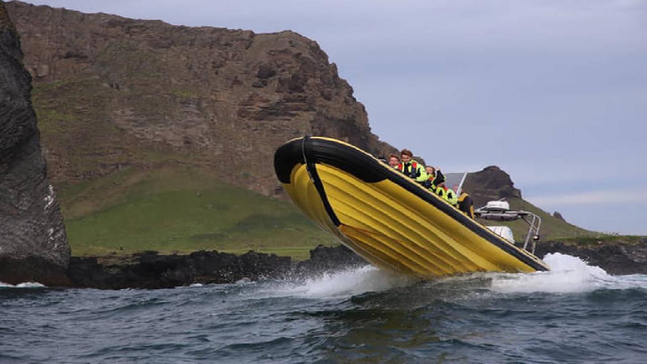 Whale  Watching from Downtown Reykjavik by RIB Speedboat 
