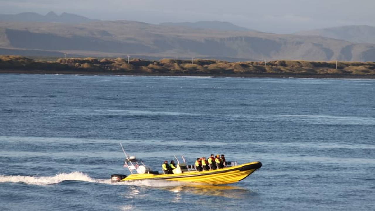 Whale  Watching from Downtown Reykjavik by RIB Speedboat 
