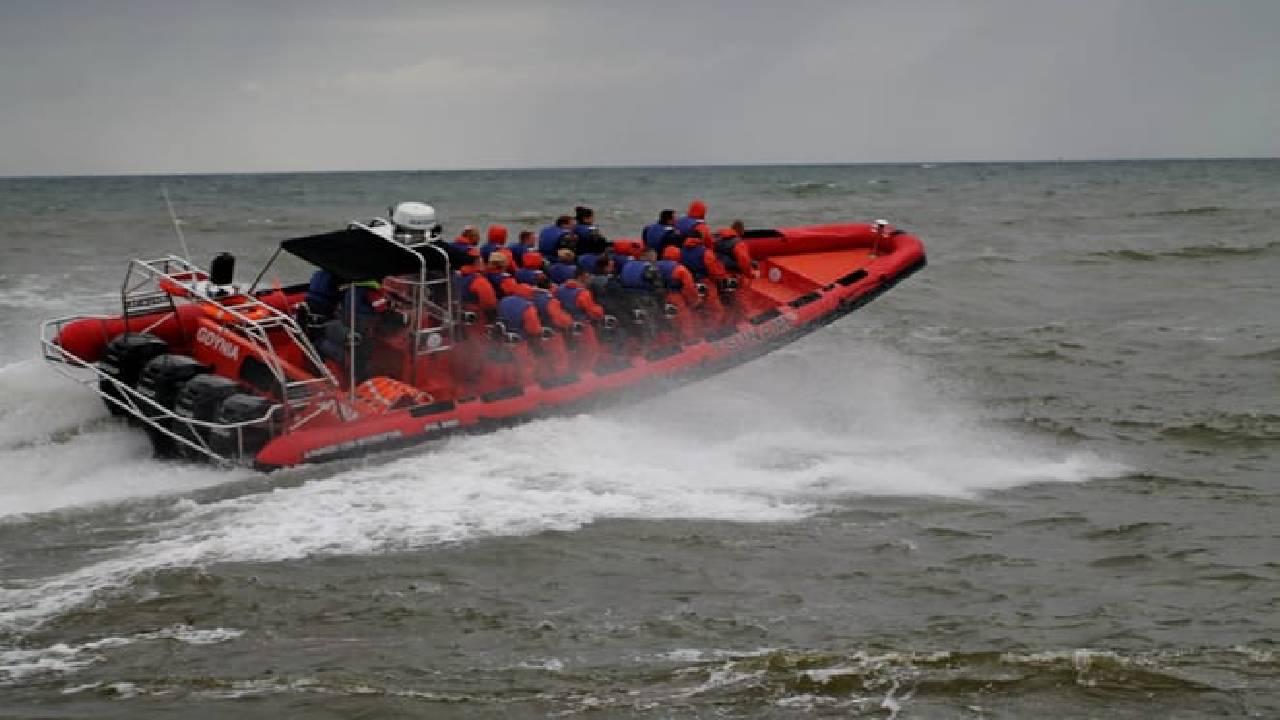 Whale  Watching from Downtown Reykjavik by RIB Speedboat 