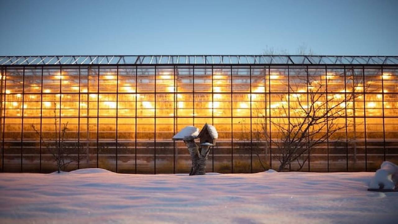 Golden Circle and Waterfalls, with Friðheimar Farm and Kerið in small group