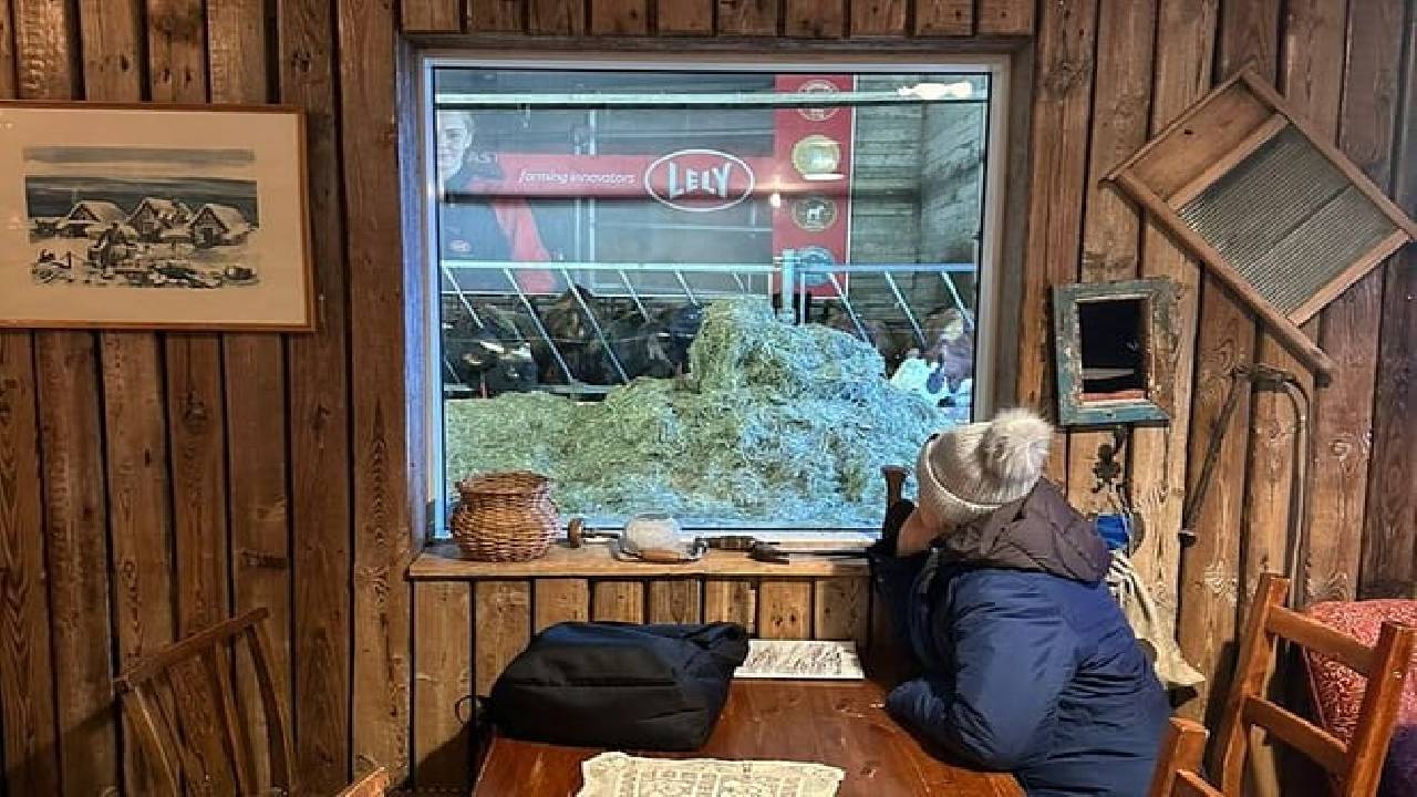 Golden Circle and Waterfalls, with Friðheimar Farm and Kerið in small group