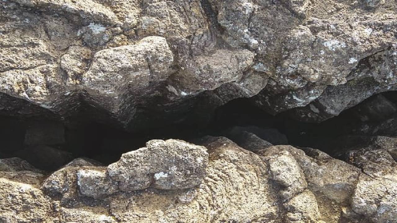 Golden Circle and Waterfalls, with Friðheimar Farm and Kerið in small group