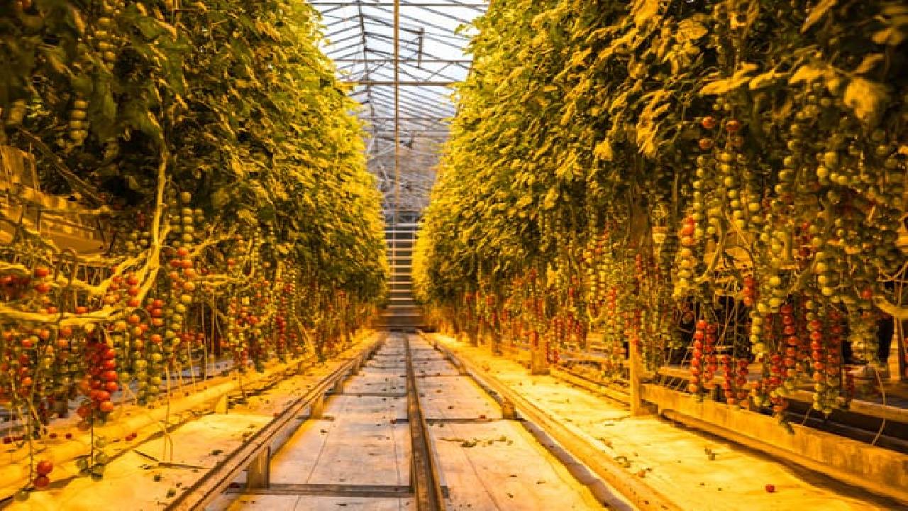 Golden Circle and Waterfalls, with Friðheimar Farm and Kerið in small group