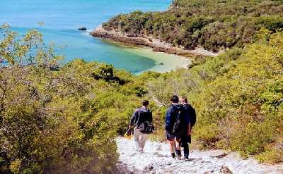 Arrábida Snorkeling & Wine 