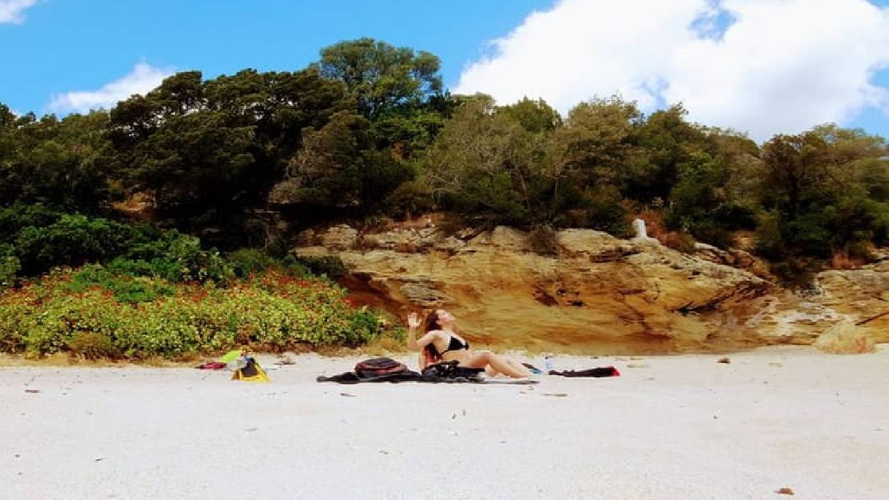 Arrábida Snorkeling & Wine 